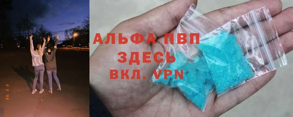 индика Видное