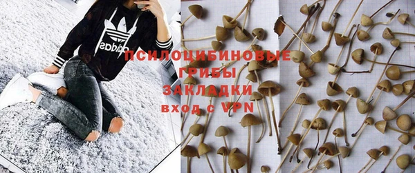 прущая мука Весьегонск
