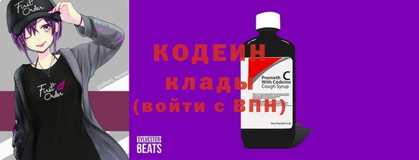 индика Видное