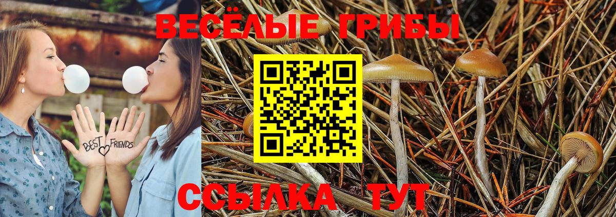 Псилоцибиновые грибы GOLDEN TEACHER Краснокаменск